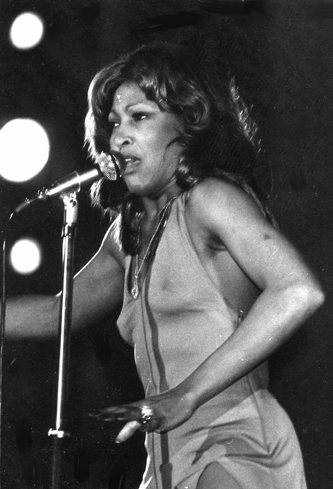 Nude Photos Of Tina Turner computer games