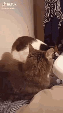 Best of Chomping at the bit gif