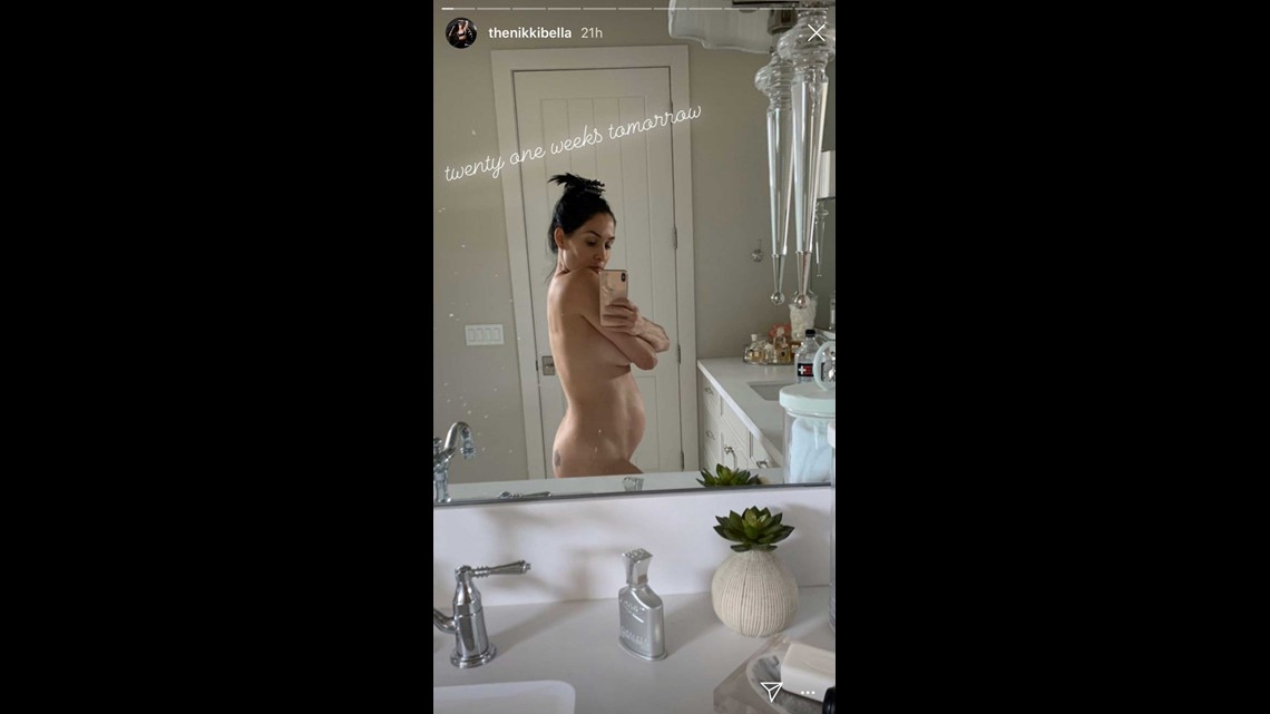 donna boudreaux recommends Nikki Bella Nude Video