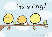 carter kwok share first day of spring gif photos