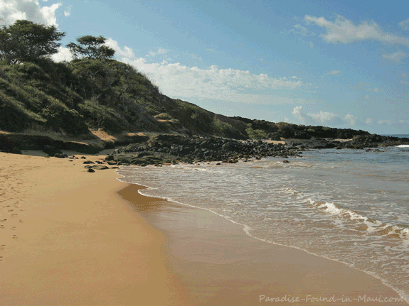 diane sales share little beach maui photos photos