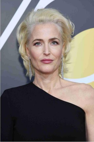 aimee goodson recommends gillian anderson underwear pic