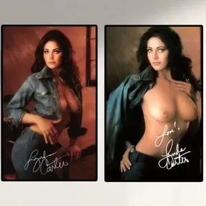 amy andrades add photo lynda carter playboy pictures