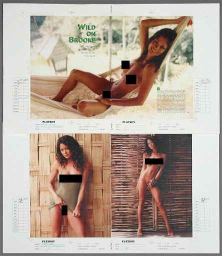david l lawrence recommends Naked Pictures Of Brooke Burke