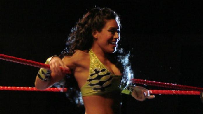 brenda cooksey add wwe melina playboy photo