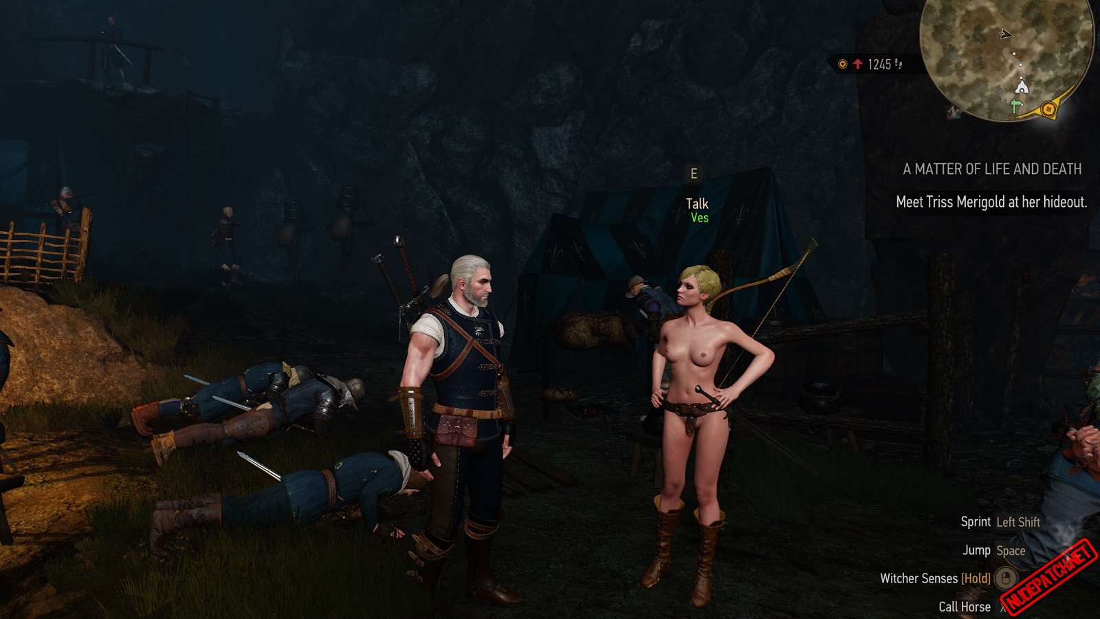 brittany santiago recommends witcher 3 ciri topless pic