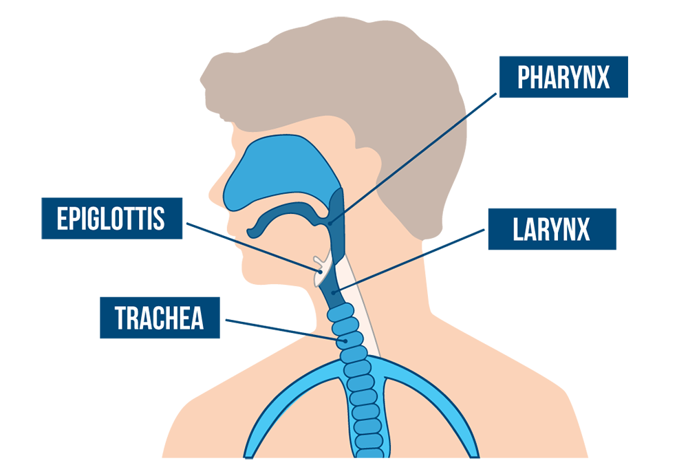 how to deep throat like a pro