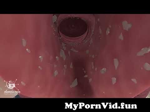 video of female orgasim