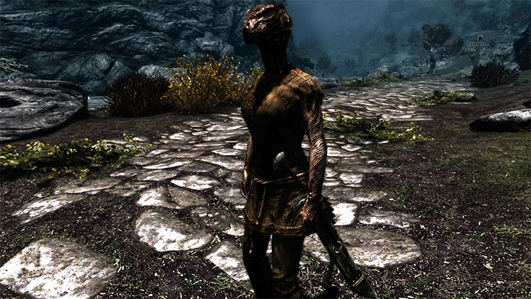 anagha dau recommends skyrim argonian texture mods pic