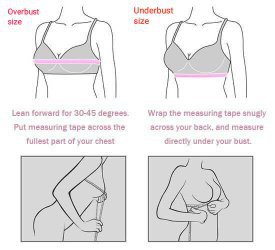 creighton oliver share pornstar bra sizes photos