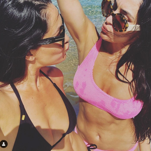 ayu sekar wulan recommends sexy nikki bella pictures pic