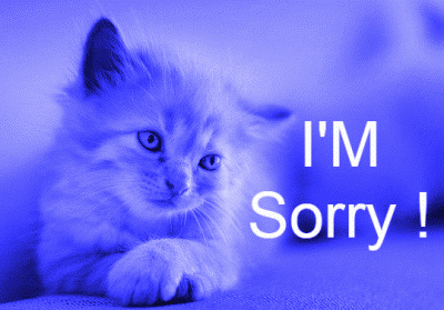 caroline thao recommends i am sorry gif pic