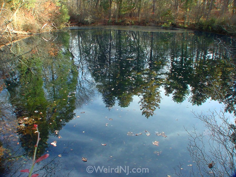 brittni mayo recommends Hidden Lakes Nj Pine Barrens