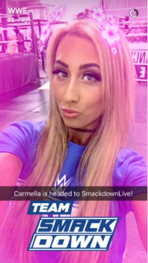 Wwe Diva Snapchat Names cap martin