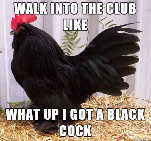 big black cock funny