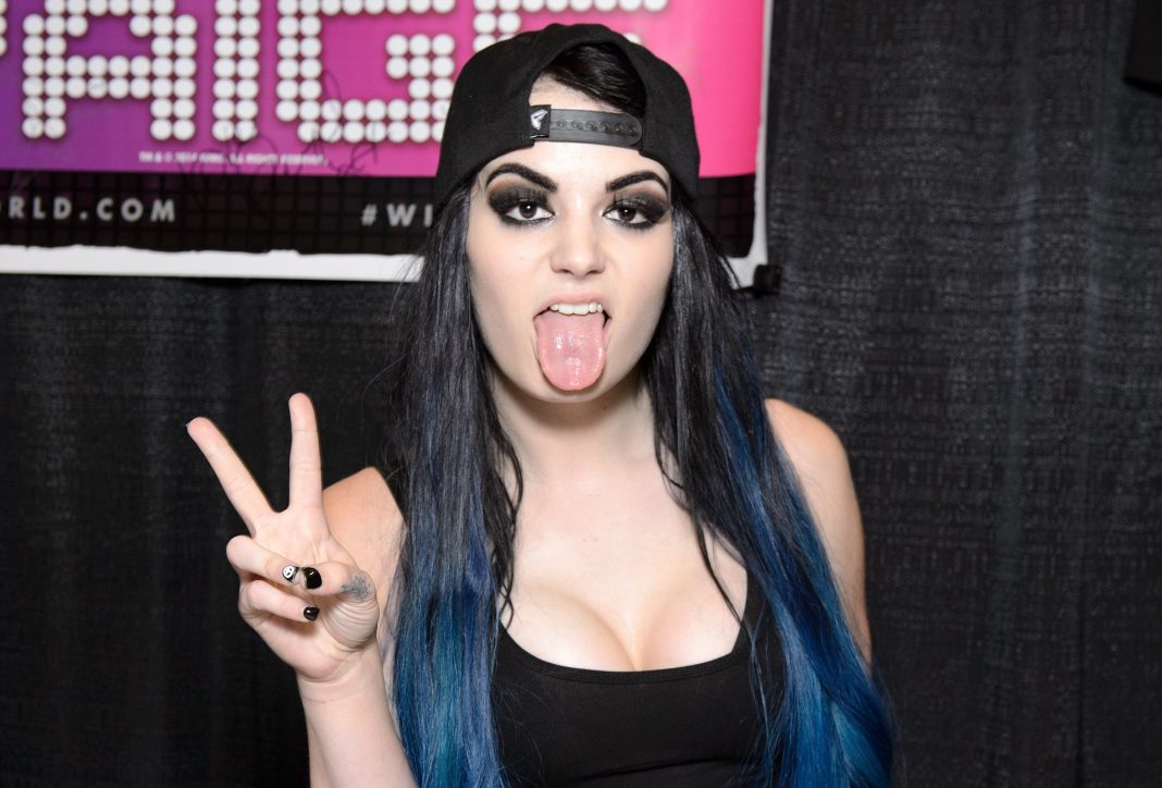 arriane tan recommends Wwe Paige Hacked Pictures