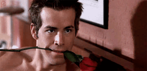 But Why Ryan Reynolds Gif naughty pages