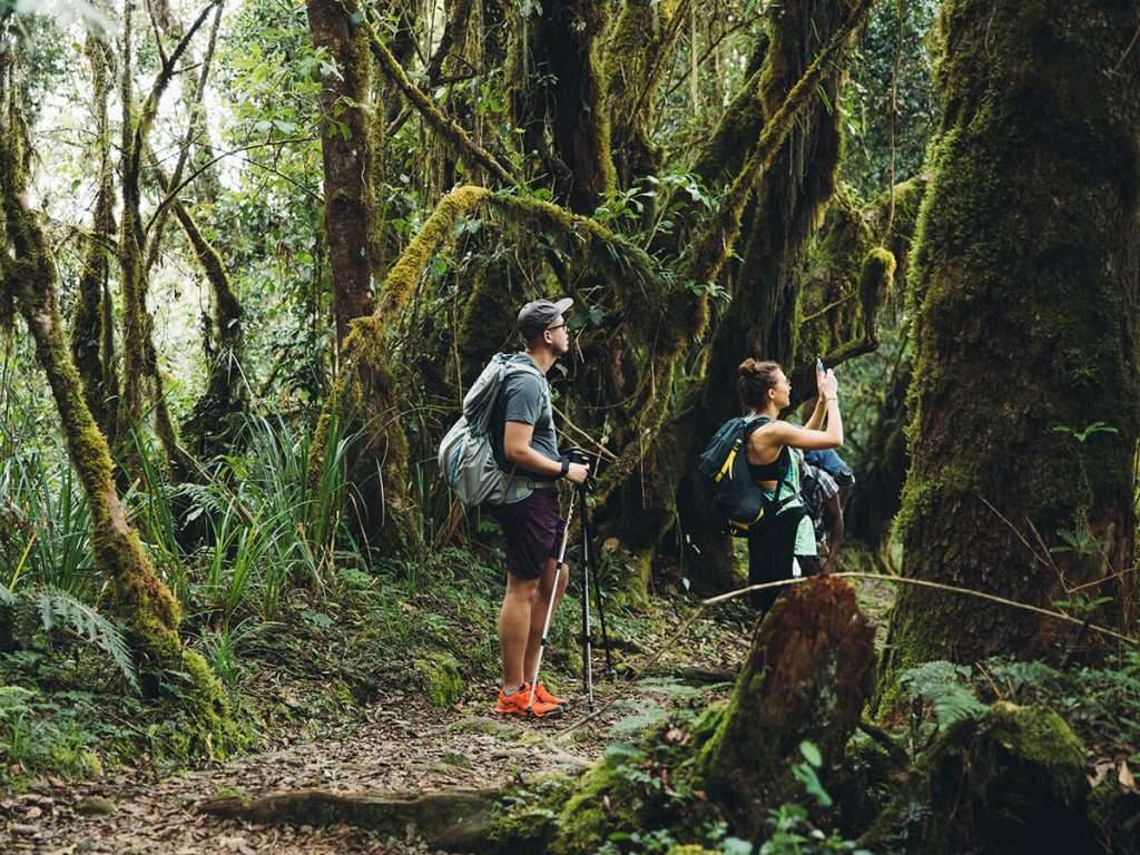 christian spiteri share predators of kilimanjaro photos