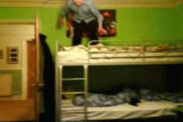 Best of Falling out of bed gif