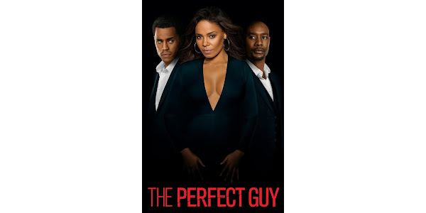 atish singhal recommends the perfect guy movietube pic
