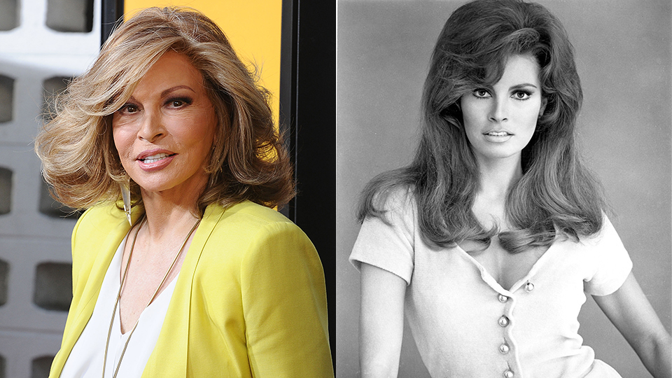 diane mcquaid recommends show me a picture of raquel welch pic
