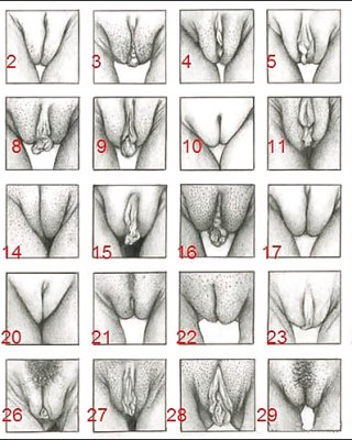austin sackett recommends Types Of Vagina Porn