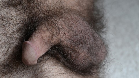 hairy cock porn