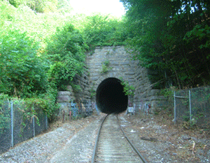 arquero recommends train tunnel gif pic