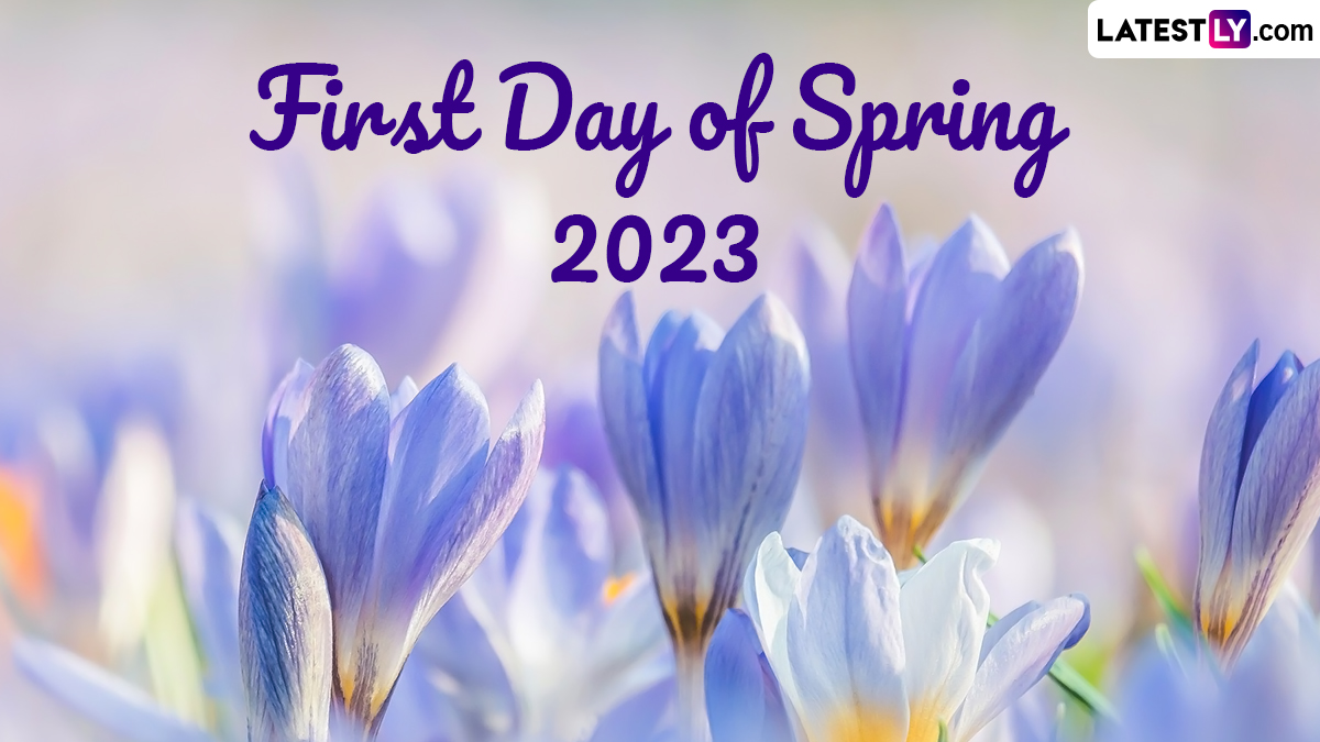 alice malave add first day of spring gif photo