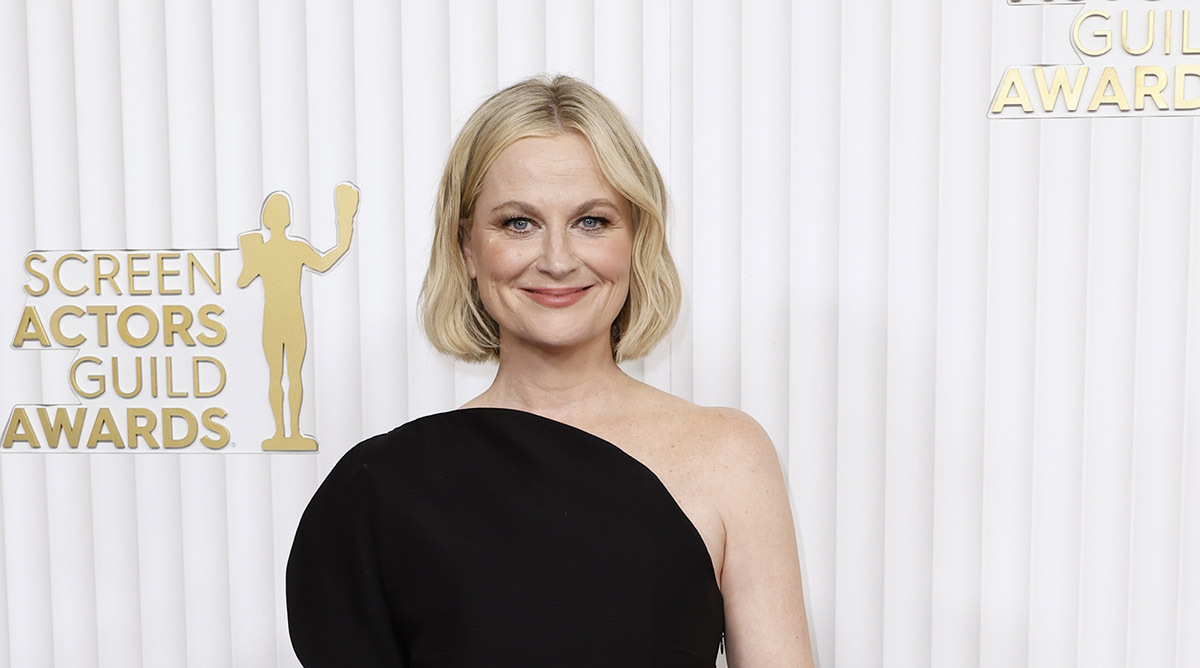 courtney guyer recommends amy poehler nude pictures pic