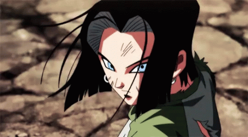 brent trost recommends android 17 gif pic