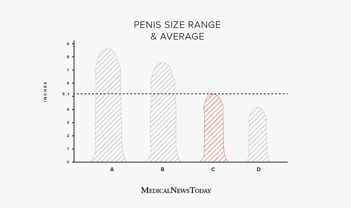 ariel kerr recommends average size black dick pic