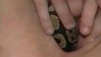 afoh hannah add snake in pussy photo