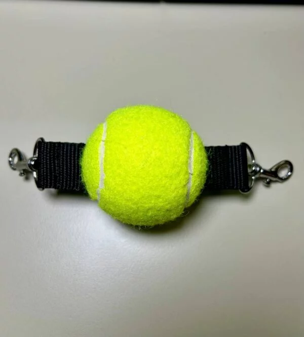 Best of Tennis ball gag
