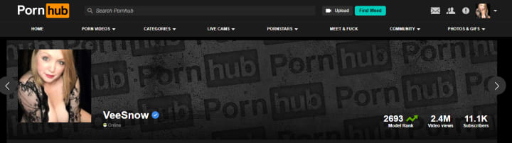 dennis race recommends how does pornhub make money pic