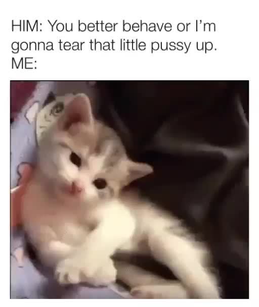 tear dat pussy up