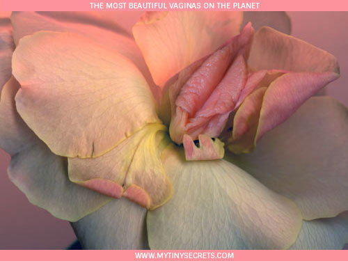 brandon mauney recommends Most Beautiful Vagina Photos
