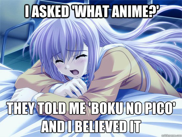 andrew berube recommends boku no pico my pico pic