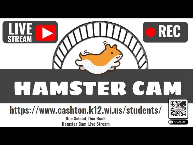 Hamster Live Web Cam city karta