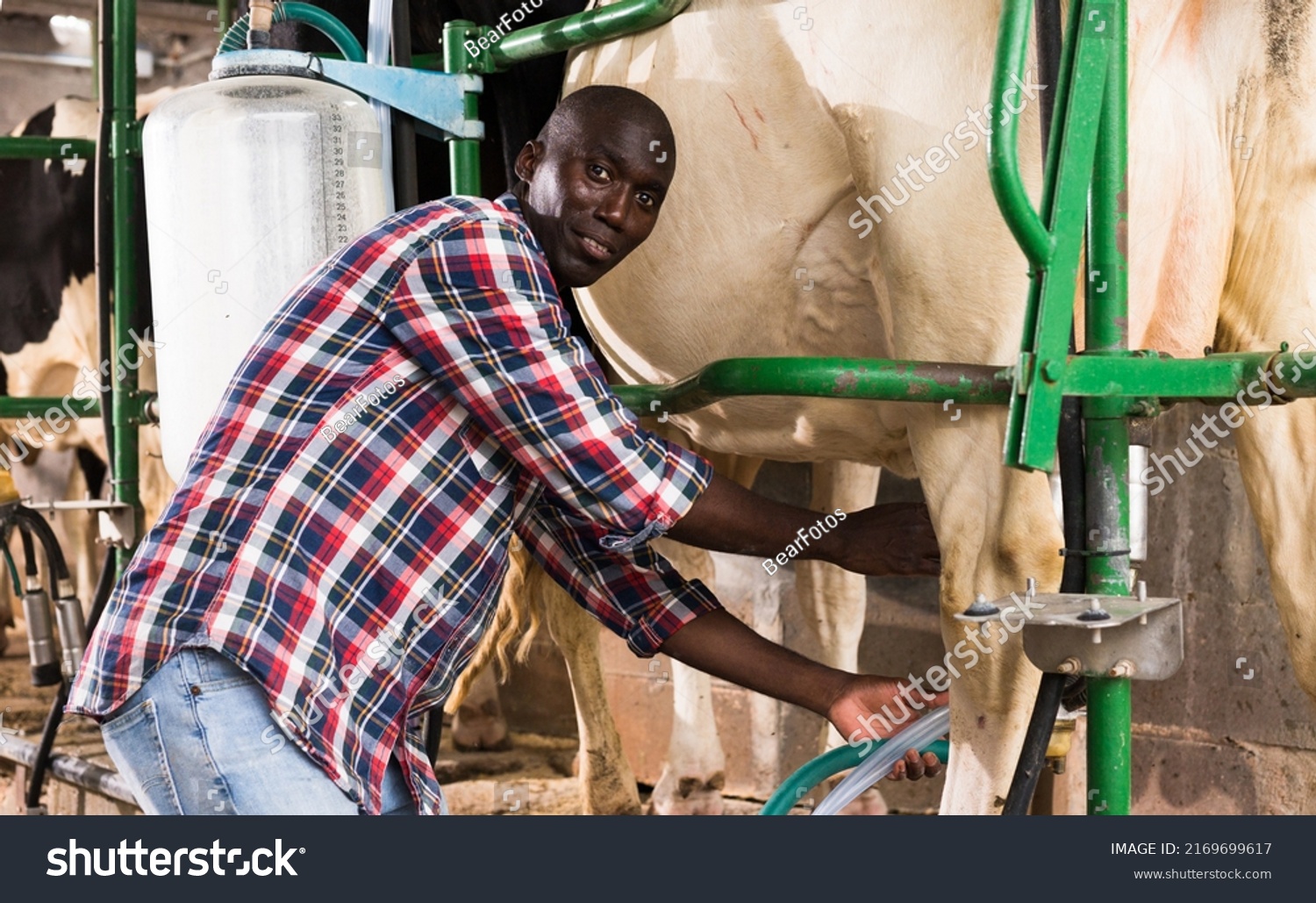 alicia tiew share man using milking machine photos