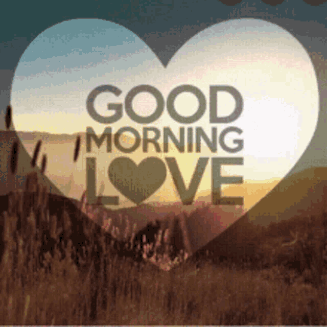 diane salo recommends Good Morning Gifs Tumblr