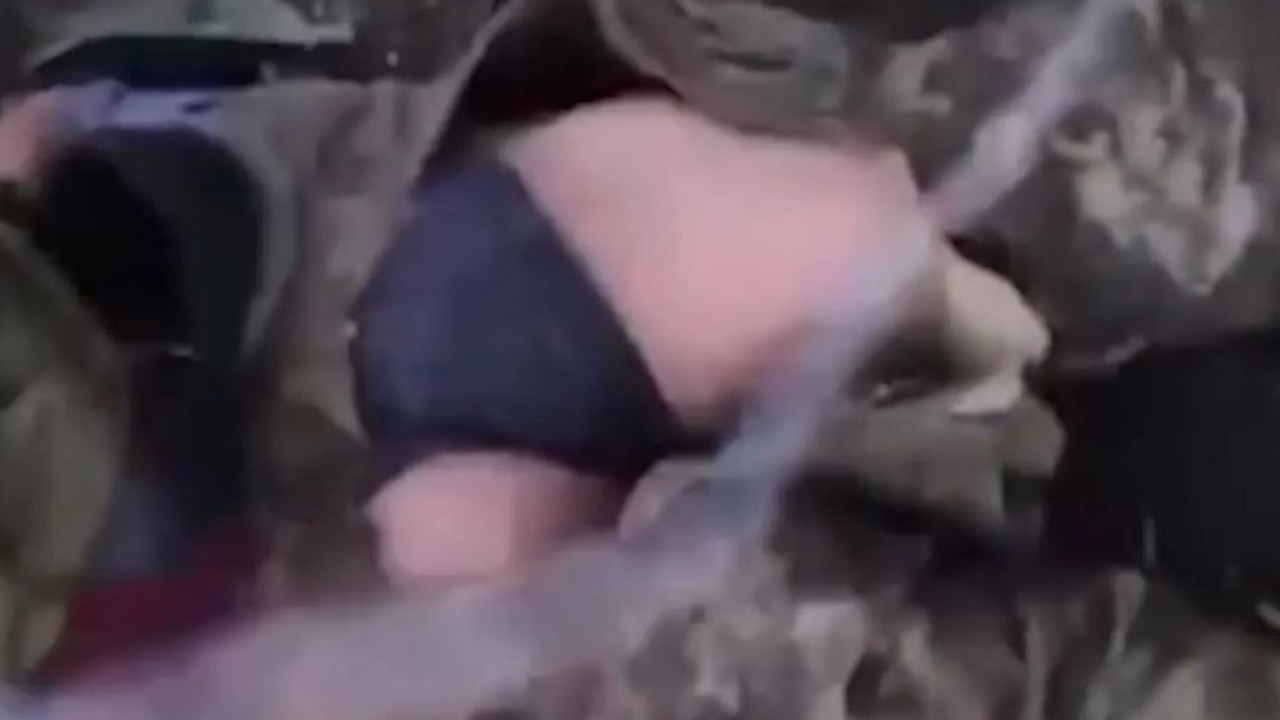 adrianne salazar share human male castration videos photos
