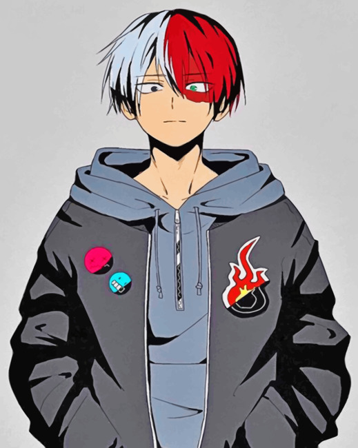 Best of Pictures of todoroki from my hero academia