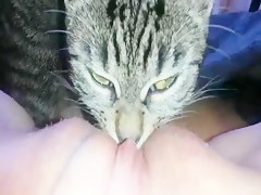 cici nie add cat licking pussy porn photo