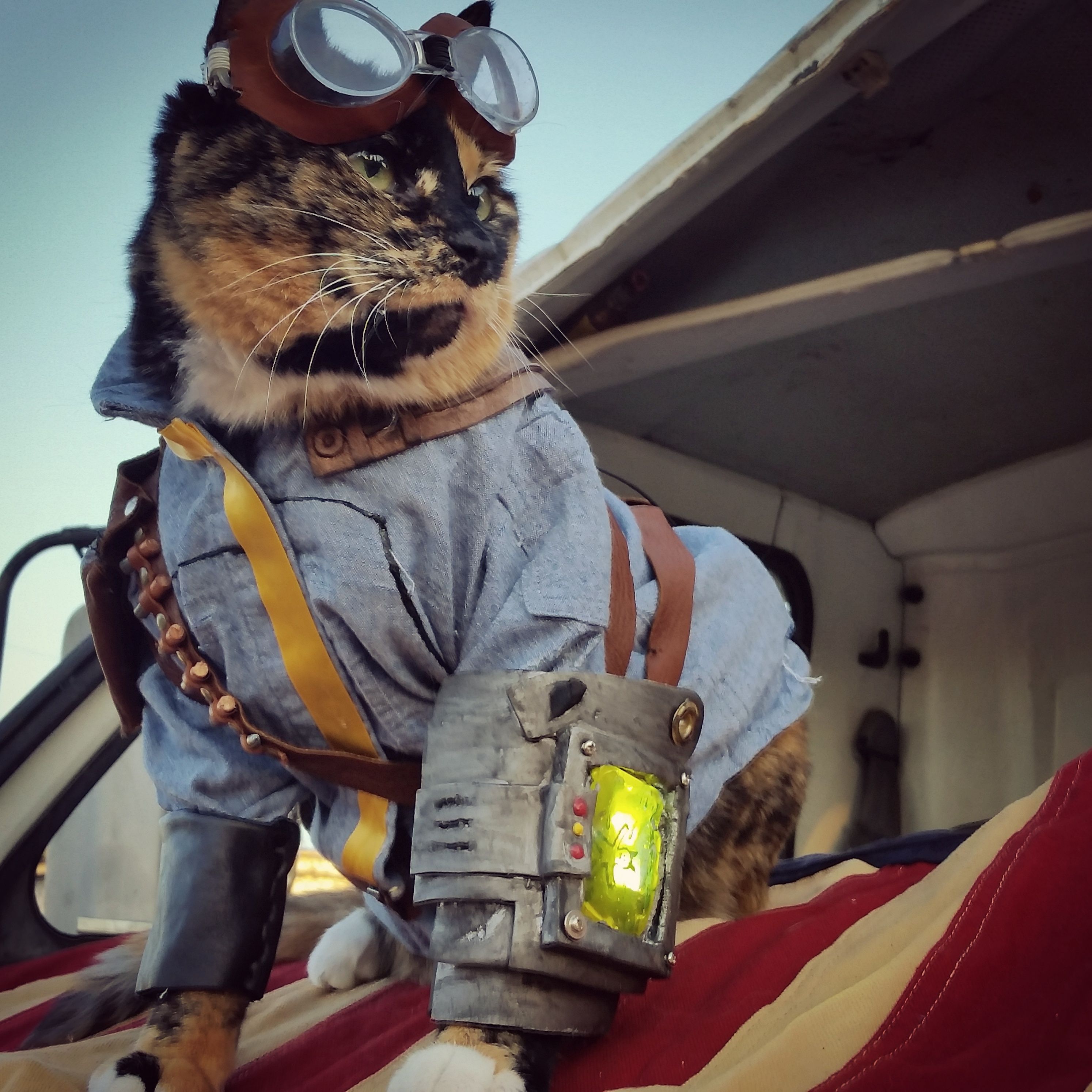 analyn mae rasonabe recommends Cats In Fallout 4