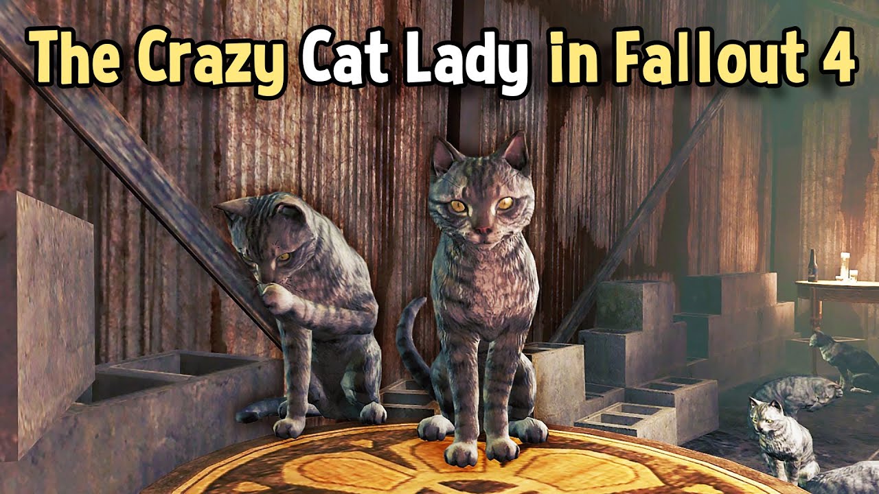 brian wanger recommends cats in fallout 4 pic