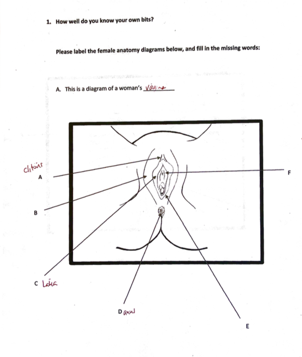 alicia lindley recommends how many holes does a woman have diagram pic