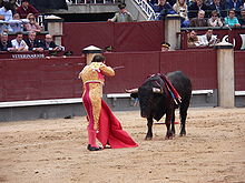 bianca lara recommends bull fights gone bad pic