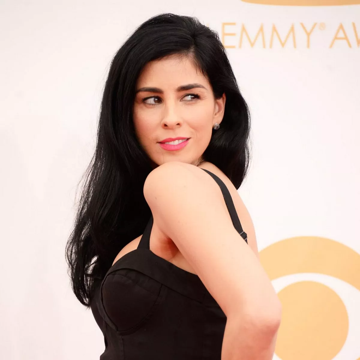 dolly chang recommends sarah silverman sex scene pic