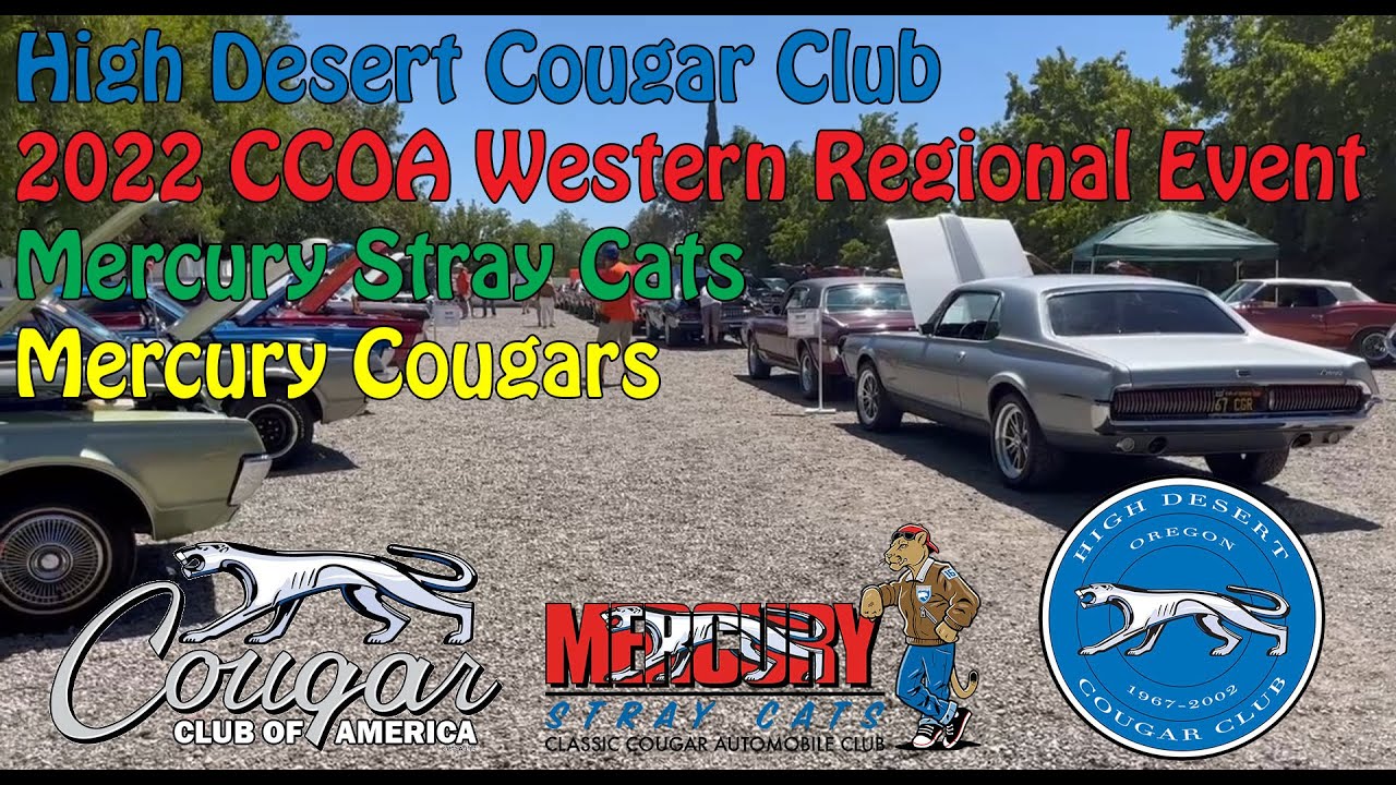 Best of Cougar club watch online